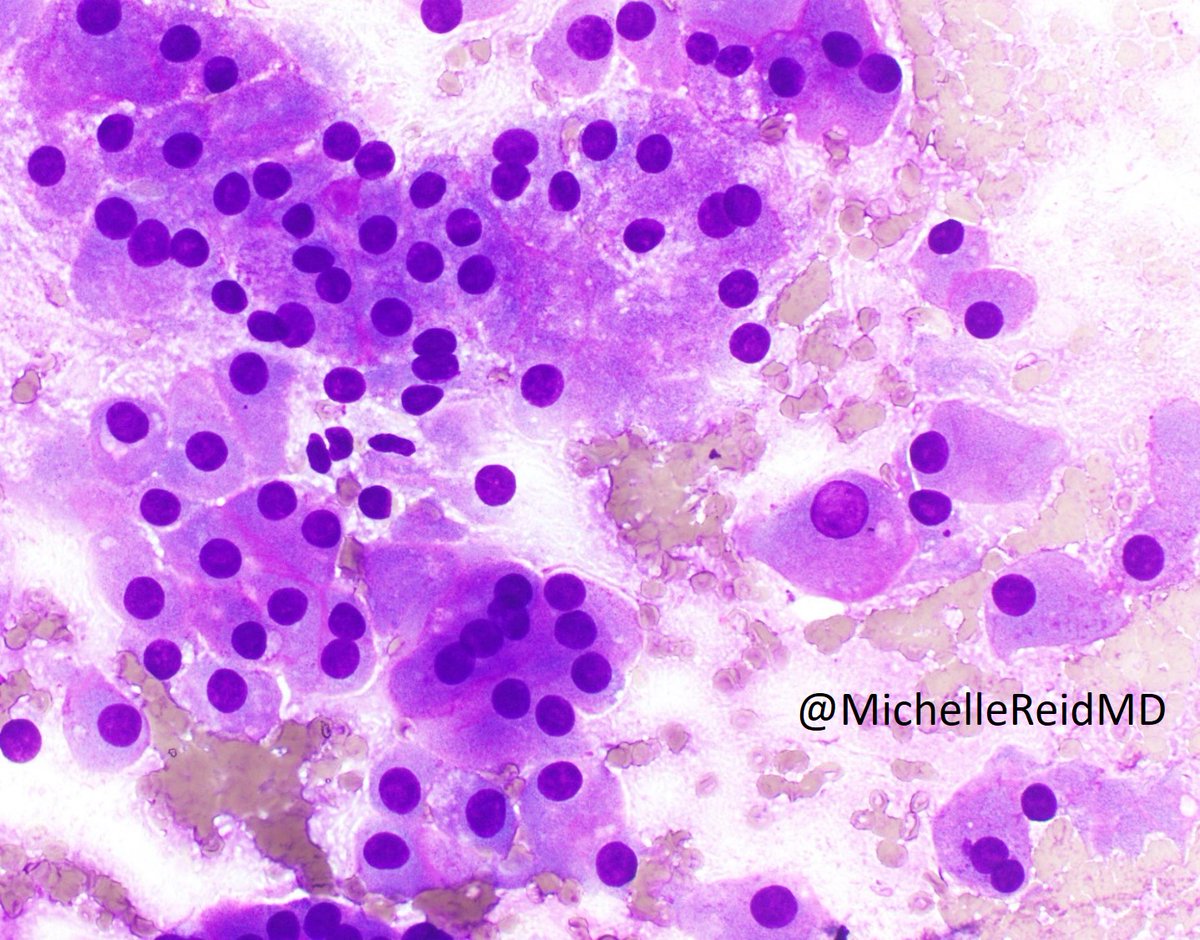 Emory Cytopathology tweet media