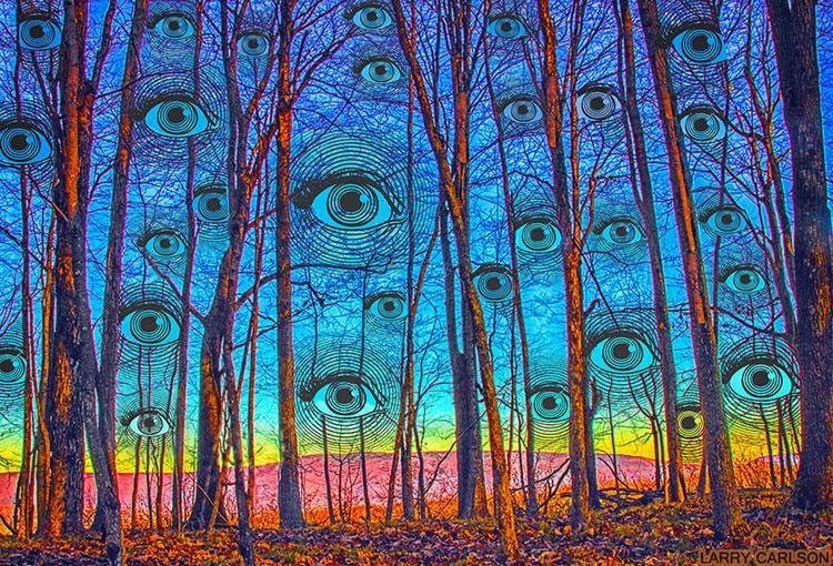 fraveris's tweet photo. Woods Has Eyes
Fine Art Print
LARRY CARLSON https://t.co/eEXbaqS9Zt