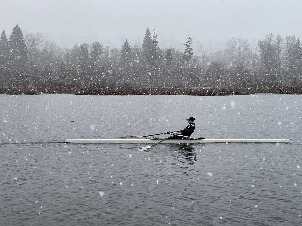 Looks like Christmas is almost here🎄.