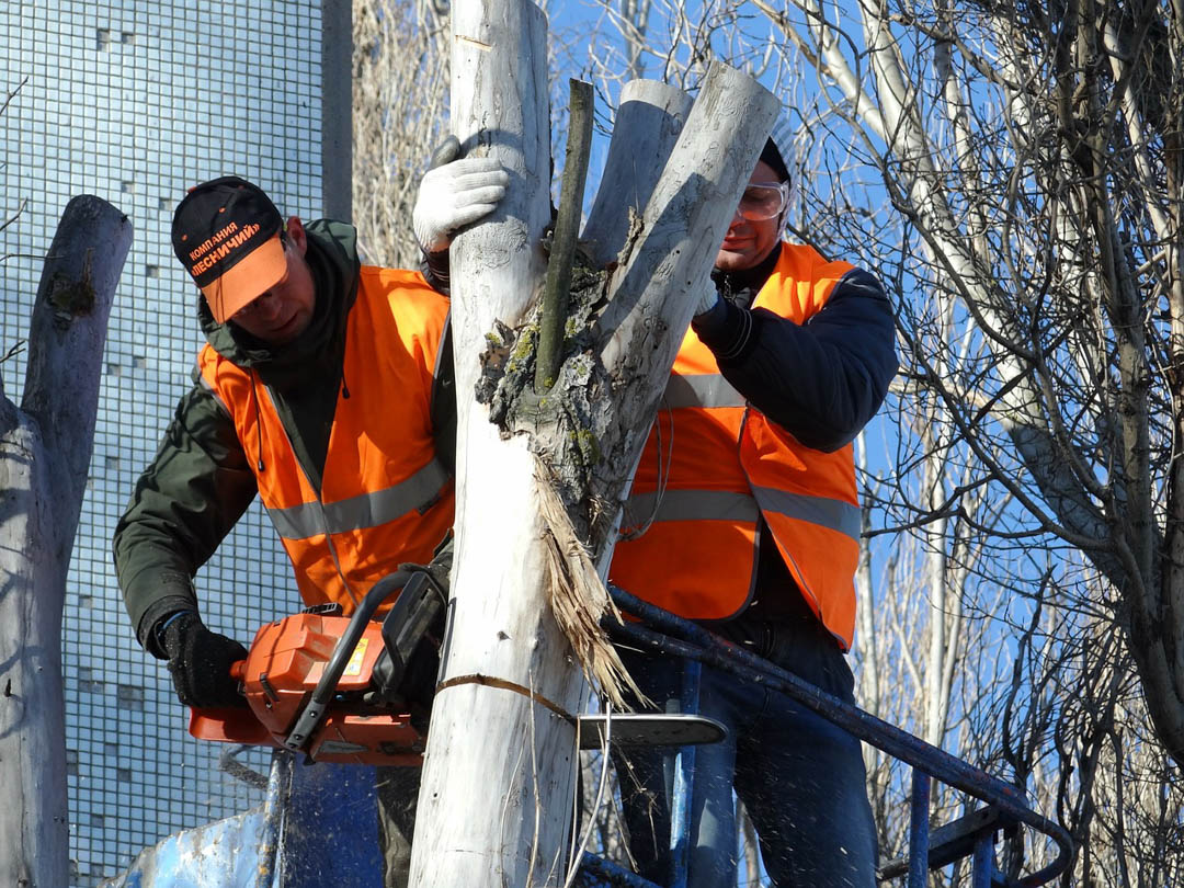 G2GTreeService's tweet image. Ensure your Tree Removal needs are handled by the best and done right the first time. Give G2G Tree Service LLC a call today at (614) 639-0581 for more information! #TreeRemoval #TreeTakedown #TreeService bit.ly/3BtJuPR