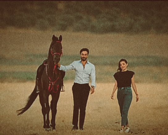 penthes1leia's tweet photo. Nereden                                        Nereye 
🐎👰🏻🤵🏻
#YağmurTanrısevsin • #AyFer 
#GökhanAlkan • #KalpYarası https://t.co/RPH0fkonRg