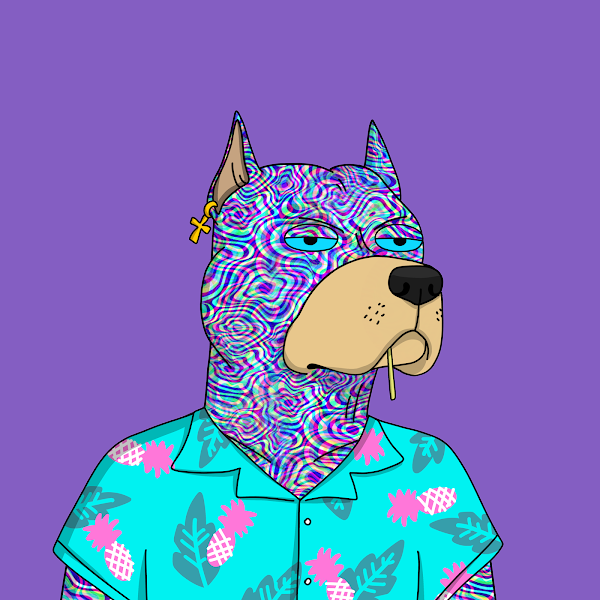 SamuraiGhst_eth's tweet photo. Yo where my dogs at @GutterCatGang? Can I get a follow for the 2nd rarest Hendrix 🐕

#ganggang #gangfollowgang #gcg #GutterCatGang https://t.co/BJ0lYyb8lG
