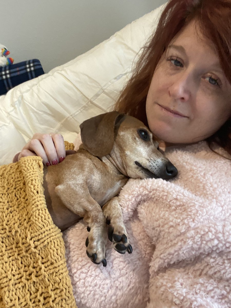 alyvandyke's tweet photo. My world is infinitely darker without you, my sweet Charlie. You were my best friend for nearly 11 years, and I’ll miss you forever. Sleep sweet, baby boy. I love you. Always. 🌻❤️🌈 https://t.co/qzKqdouPYe