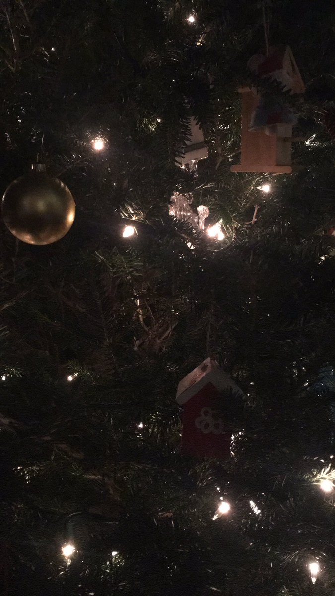 Laura Clark tweet media