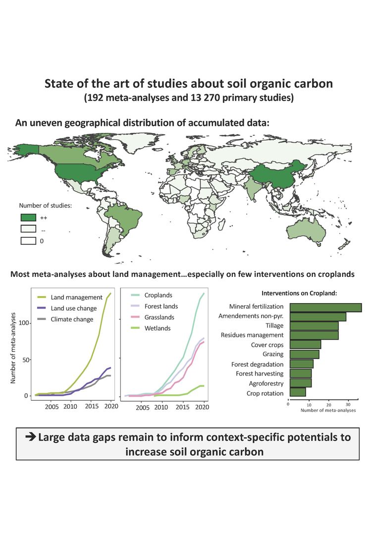 GlobalChangeBio's tweet photo. || NEW RESEARCH ||
A global overview of studies about land management, land‐use change, and #climatechange effects on soil organic carbon

📄 https://t.co/TVxbi0DvQS @GlobAgronomy https://t.co/18L35hq4C2