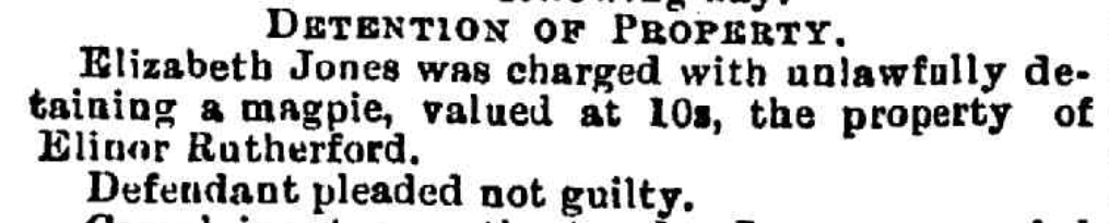 MuseumMinx's tweet photo. Well this is a new one: 'Elizabeth Jones was charged with unlawfully detaining a magpie, valued at 10s, the property of Elinor Rutherford. Defendant pleaded not guilty.' https://t.co/fCFy0yJ0j9 via @TroveAustralia https://t.co/dzD8oxUMNv