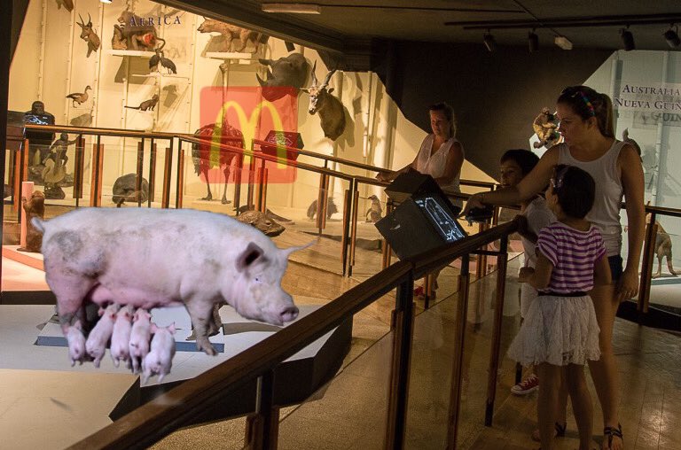 Museo de Historia Natural Cubano en el 2024