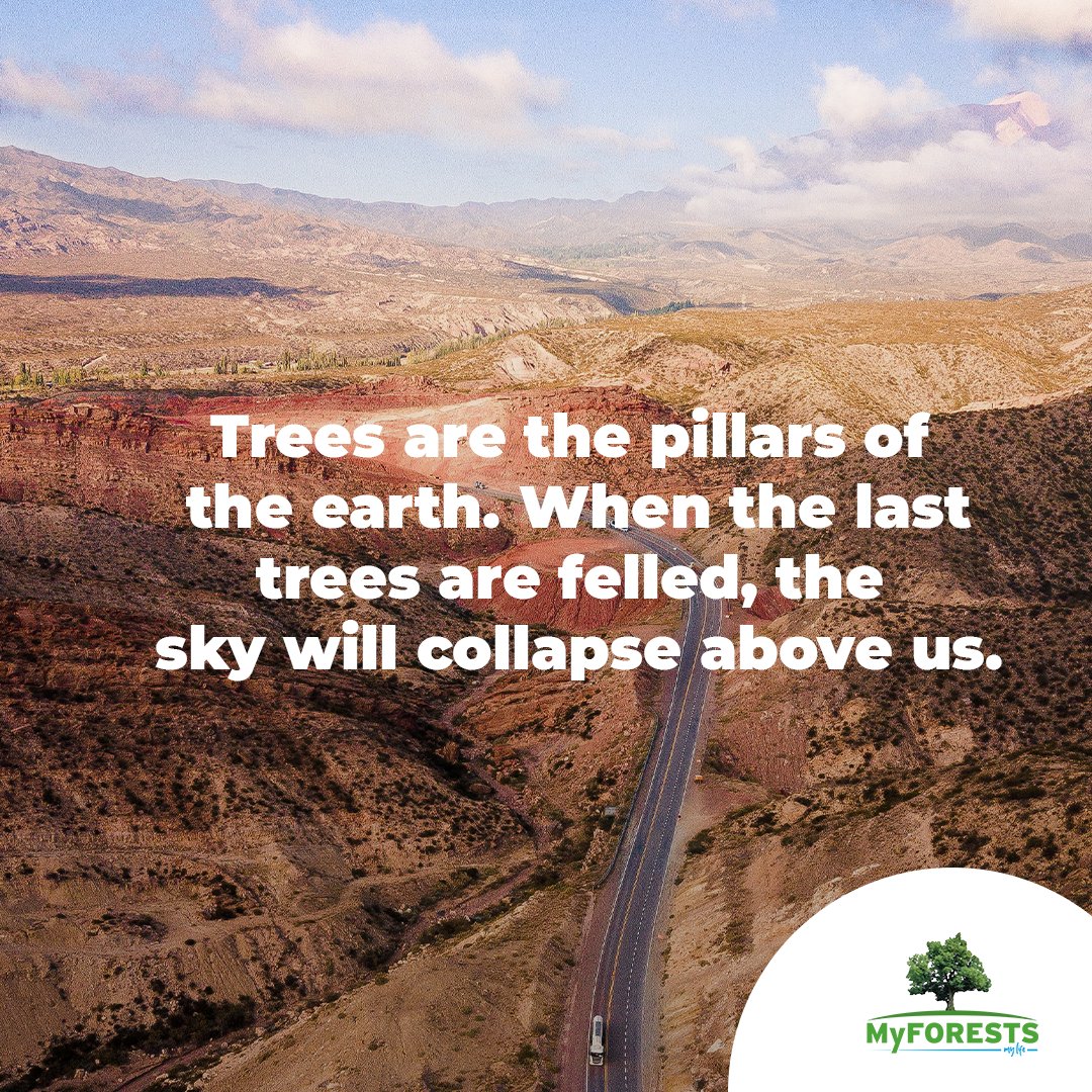 MyForests_Kenya's tweet image. "Trees are the pillars of the earth. When the last trees are felled, the sky will collapse above us"

Are we seeing this happening now?

#climateclimate #ClimateChaos #climatecrisis #climateaction #climatestrike #climatechange #climatejustice #ClimateActionNow