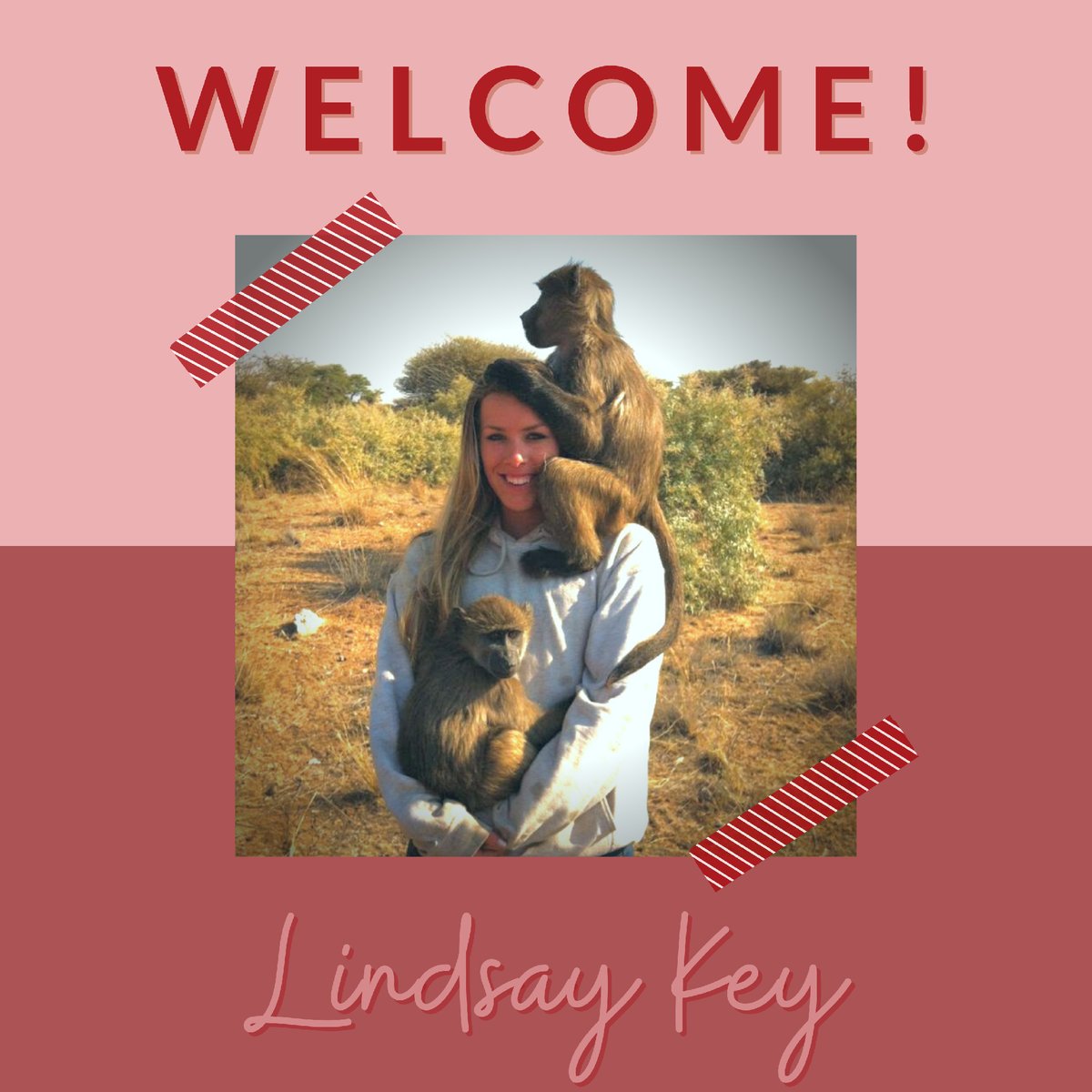 LevittownVet's tweet photo. Please help us welcome Lindsay Key by saying "hello!" in the comments! 😊 https://t.co/Q2yJMilDvl