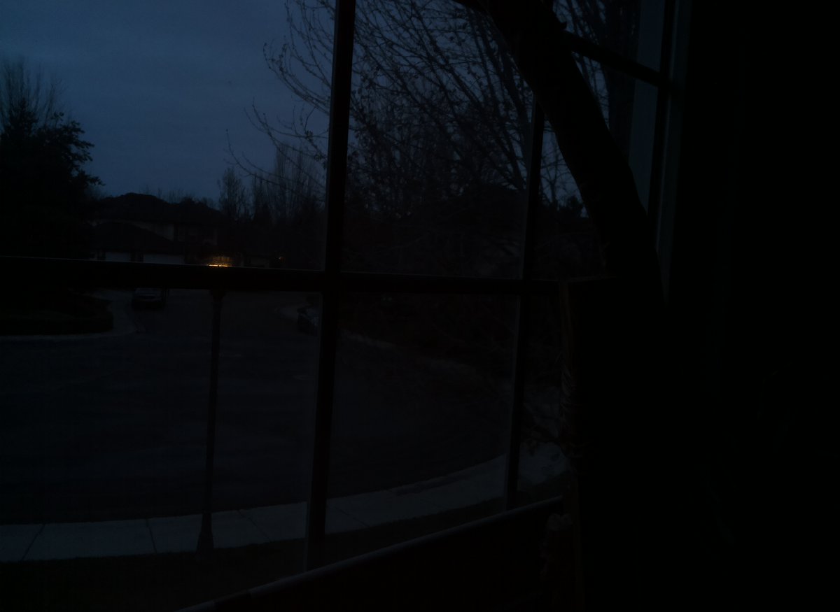 literally_plant's tweet photo. Timelapse picture taken at 05:10:24PM MDT 12/14/2021
Soil Moisture: 100.0%
Day: 580

#gardening #plant #garden #nature #summer #plumeria https://t.co/dkncPFS37u