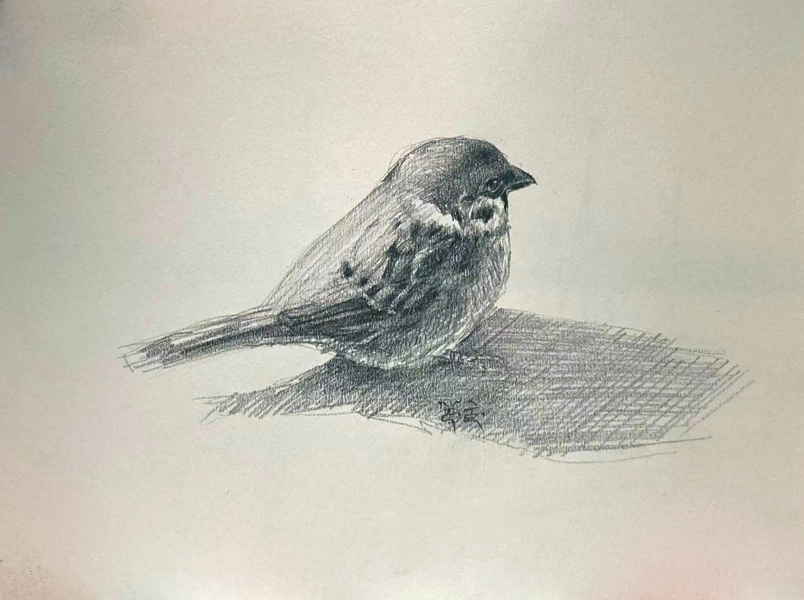 鉛筆画 雀 スズメ ☆すずめ鉛筆画 - メルカリ