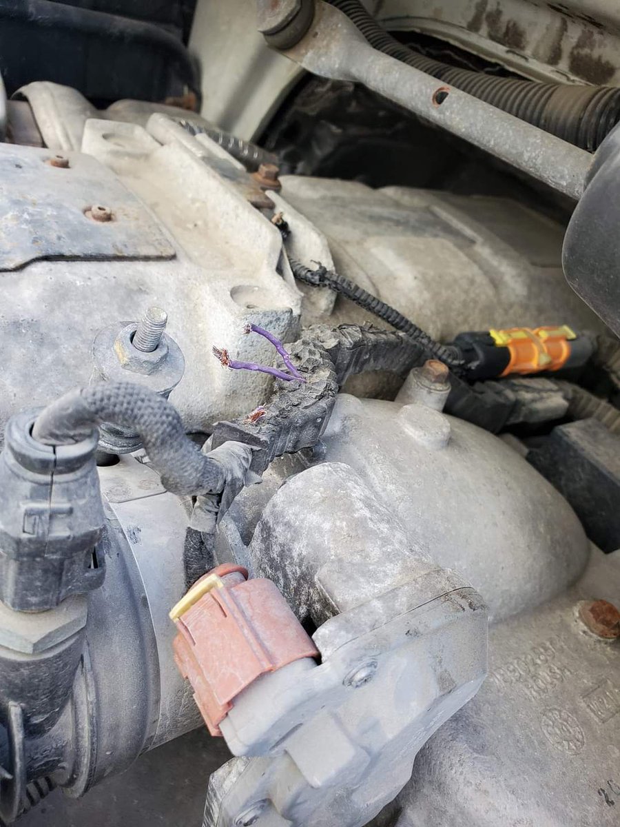 MikeNov47450872's tweet photo. All because of a rat i had to buy 3000 USDA in #navistar #maxxforce engine harnesses. It took me 2 days to replace. I hate @IntnlTrucks and servicing them. They are not family fleet friendly https://t.co/jm94YhbbNb