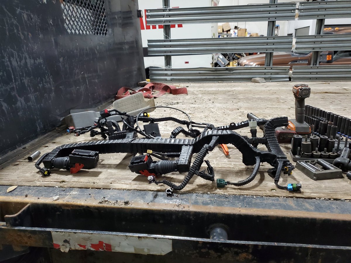 MikeNov47450872's tweet photo. All because of a rat i had to buy 3000 USDA in #navistar #maxxforce engine harnesses. It took me 2 days to replace. I hate @IntnlTrucks and servicing them. They are not family fleet friendly https://t.co/jm94YhbbNb