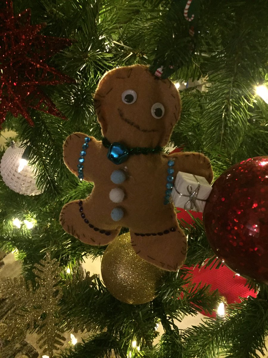 MrsDulder's tweet photo. @Didyk102 A great addition to our tree! https://t.co/orK2JDrExz