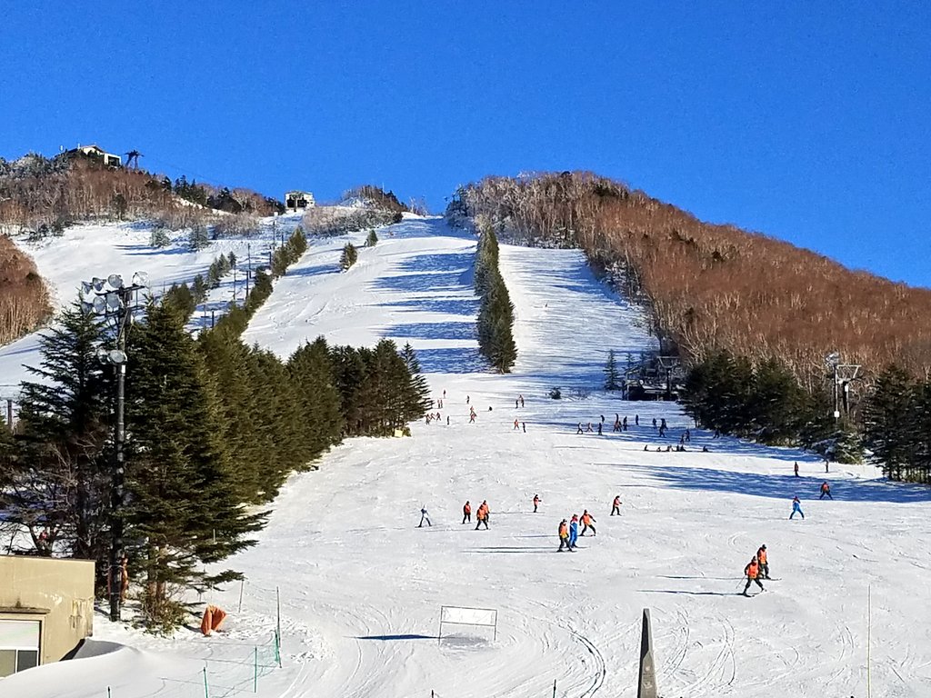 shiga_resort's tweet photo. 高天ヶ原マンモススキー場です。天気のいい日が続いています。ゲレンデは昨日、修学旅行の生徒が楽しんでいました。雪質は乾雪、この時期ではいい状態です。道路の凍結にご注意下さい。 https://t.co/FoR8FOnXyV