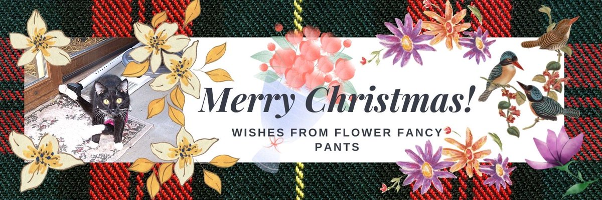 FlowerFancyPant's tweet photo. This bootiful picture was made by our fwend @cerameows 
Dats me on it!! https://t.co/HFhPzrVpNe