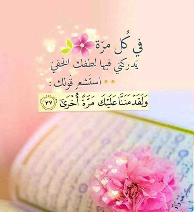 ام حازم tweet media
