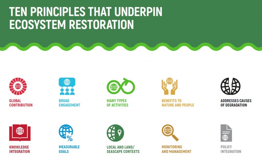 redlisteco's tweet photo. A key step in creating a shared vision of ecosystem restoration is to adopt principles that underpin the full set of ecosystem restoration activities.
#GenerationRestoration #keyprinciples
@UNEP Guidelines here 👇
https://t.co/rpeixX5m09
@FAO @IUCN_CEM @SERestoration https://t.co/WgO88hsKNH