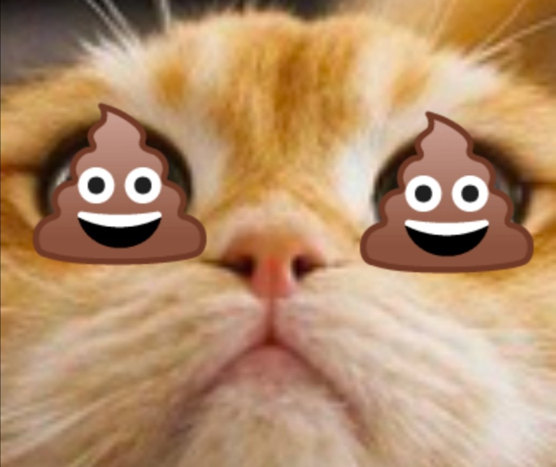 Right. Sorry. Fixed it.