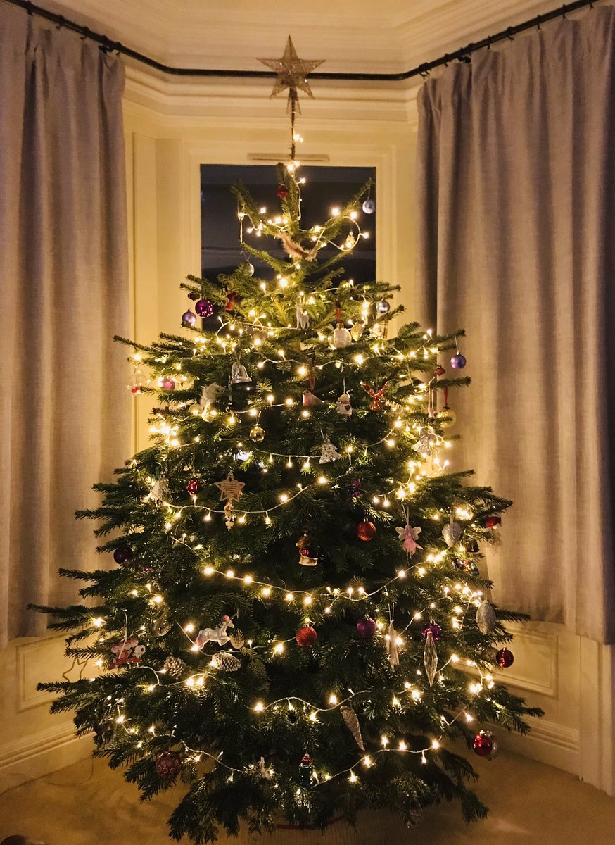 RFMacDonald's tweet photo. #TweetYourTree ๐ https://t.co/yyuPh070R9