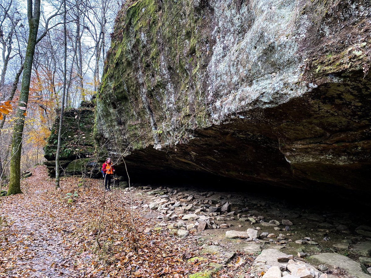 hikingwithshawn's tweet photo. Bluffage... it’s what’s for dinner #imadorkandproud #ShawneeNF https://t.co/8WGo34Er6O