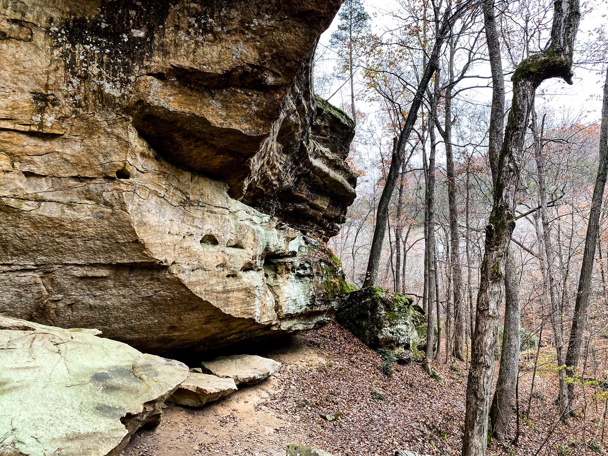 hikingwithshawn's tweet photo. Bluffage... it’s what’s for dinner #imadorkandproud #ShawneeNF https://t.co/8WGo34Er6O