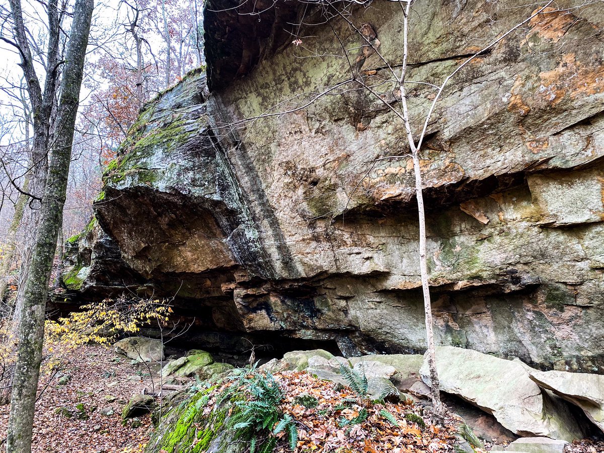 hikingwithshawn's tweet photo. Bluffage... it’s what’s for dinner #imadorkandproud #ShawneeNF https://t.co/8WGo34Er6O