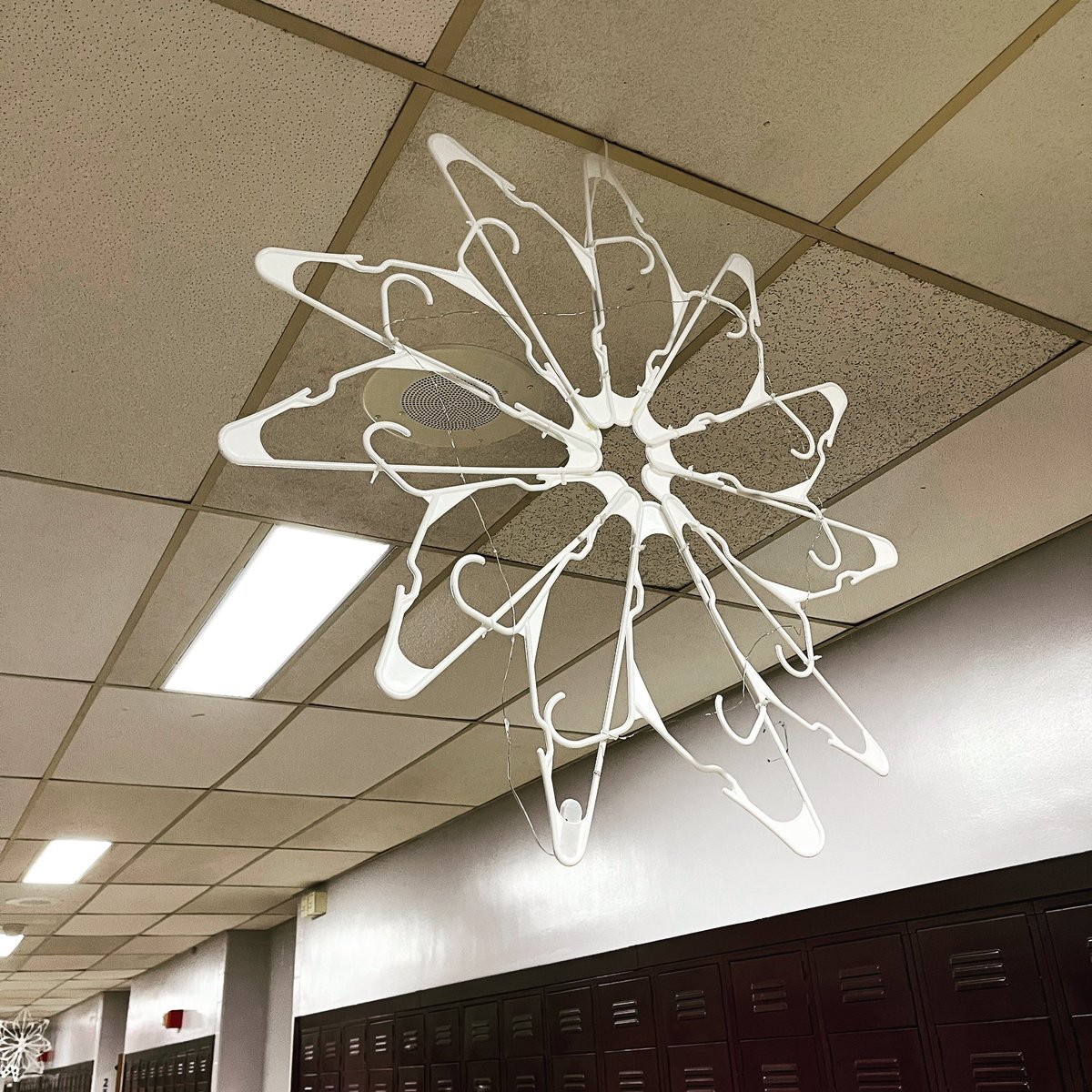 torchianator's tweet image. The halls are coming alive w/holiday spirit at OBHS. Check out what the amazing @TuckEarthOBHS &amp;amp; @MrsCotugno1 have created so for the science department. Recycled snowflakes! So awesome! Stay tuned for more! ♻️🖤💜🎄#GoKnights #HolidayKnights #knightscience @FazioSally