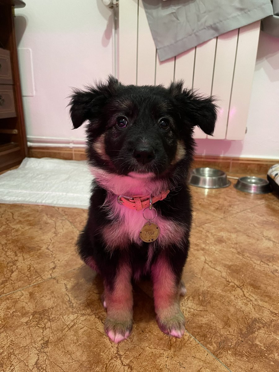 fermingilc's tweet photo. La nena con su chapita nueva 😊 https://t.co/pnwX3ZZEsK