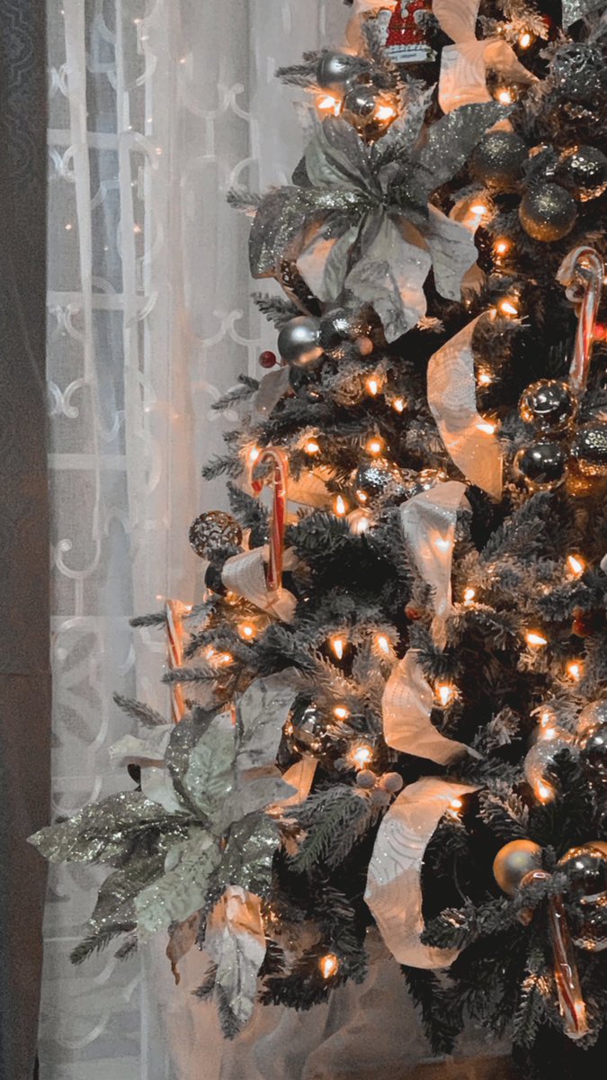 susansaks's tweet photo. That time of year 🎄 https://t.co/LsvbViGAf2