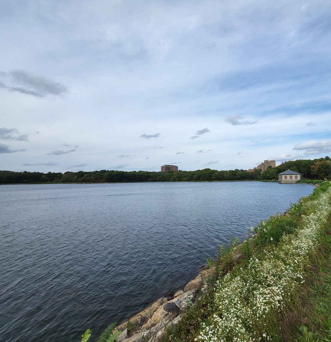 NEWWA Young Professionals tweet media