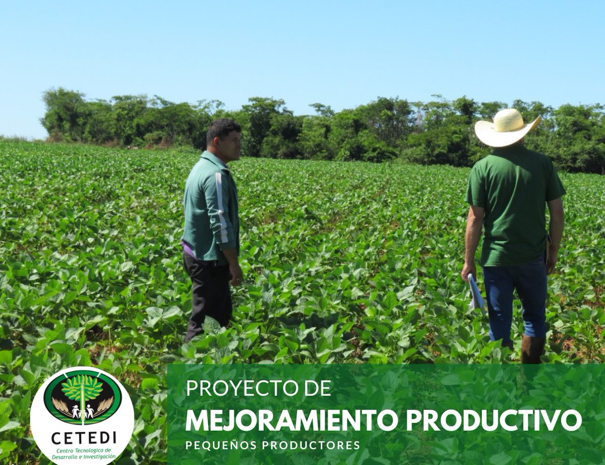 CetediRse's tweet photo. Proyecto: Mejoramiento Productivo

Cetedi coopera con  la mecanización y la producción de soja como rubro de renta de los pequeños productores de Liberación.

#ODS #paraguay #RSE #mejoramientoproductivo #seguridadalimentaria #productores #trabajocampesino #agroproduccion https://t.co/RTec2Eb2by