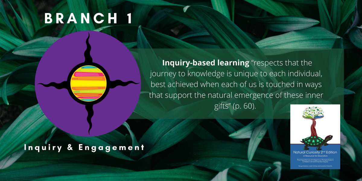 NaturlCuriosity's tweet photo. Natural Curiosity pedagogy involves a 4-branch framework for environmental inquiry that combines inquiry &amp; engagement, experiential learning, integrated learning, &amp; moving toward sustainability. Today we share with you, Branch 1 🟣🐢  #EnvironEd #EnvironInquiry https://t.co/sAgD5VMSlM