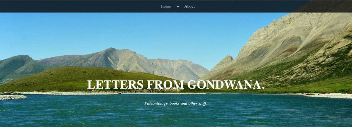 Internet Scout tweet media