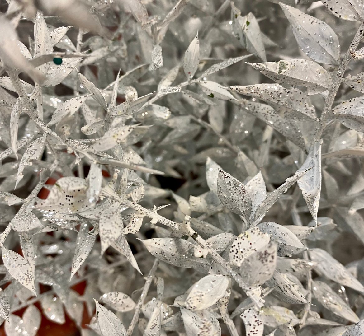 Fleurigros's tweet photo. À DÉCOUVRIR: NOS NOUVEAUTÉS TEINTES ✨

Voici nos derniers arrivages de fleurs et branchages teints pour les fêtes. Vous trouverez des cocottes, des Eryngiums, et bien plus encore!

Consultez notre catalogue #Fleurigros: https://t.co/YvwaSQOHoM https://t.co/CrPtZ6svvl
