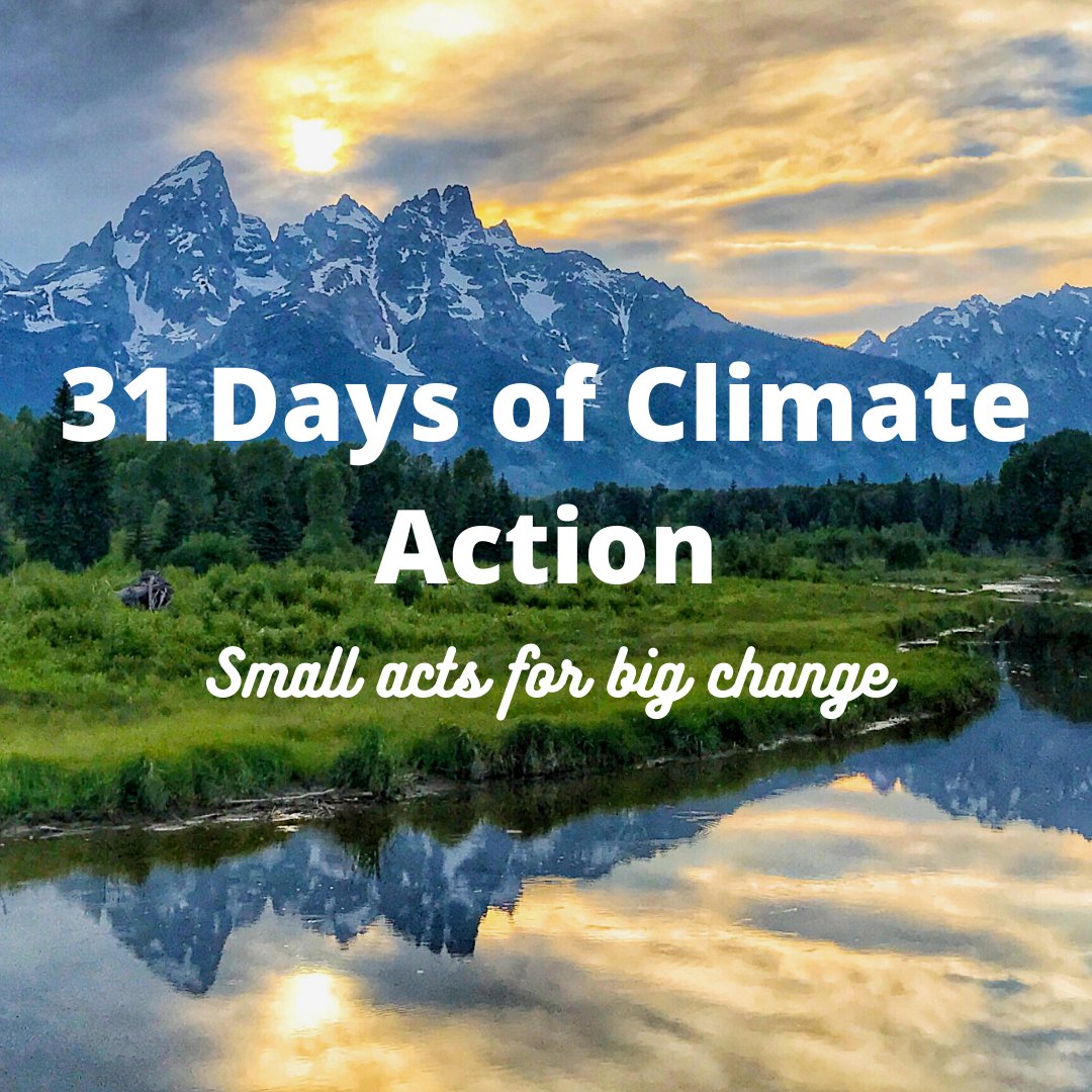 31DaysClimate's tweet image. We've put together simple actions for Americans to engage on #climatechange as citizens, community members, &amp;amp; more. Actions inspired by incredible work of  climate scientists &amp;amp; activists. Sign up: 31daysofclimateaction.com/join Will you RT to help us spread the word? #ClimateCrisis