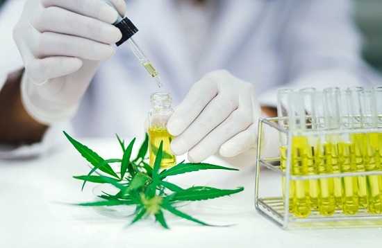 Official_UBaked's tweet photo. Learn more about why Veterans Affairs (VA) is rejecting valuable cannabis research that could be helpful to its members https://t.co/2zVpkMtaxA.  #cannabis #research https://t.co/284U0QzkRt