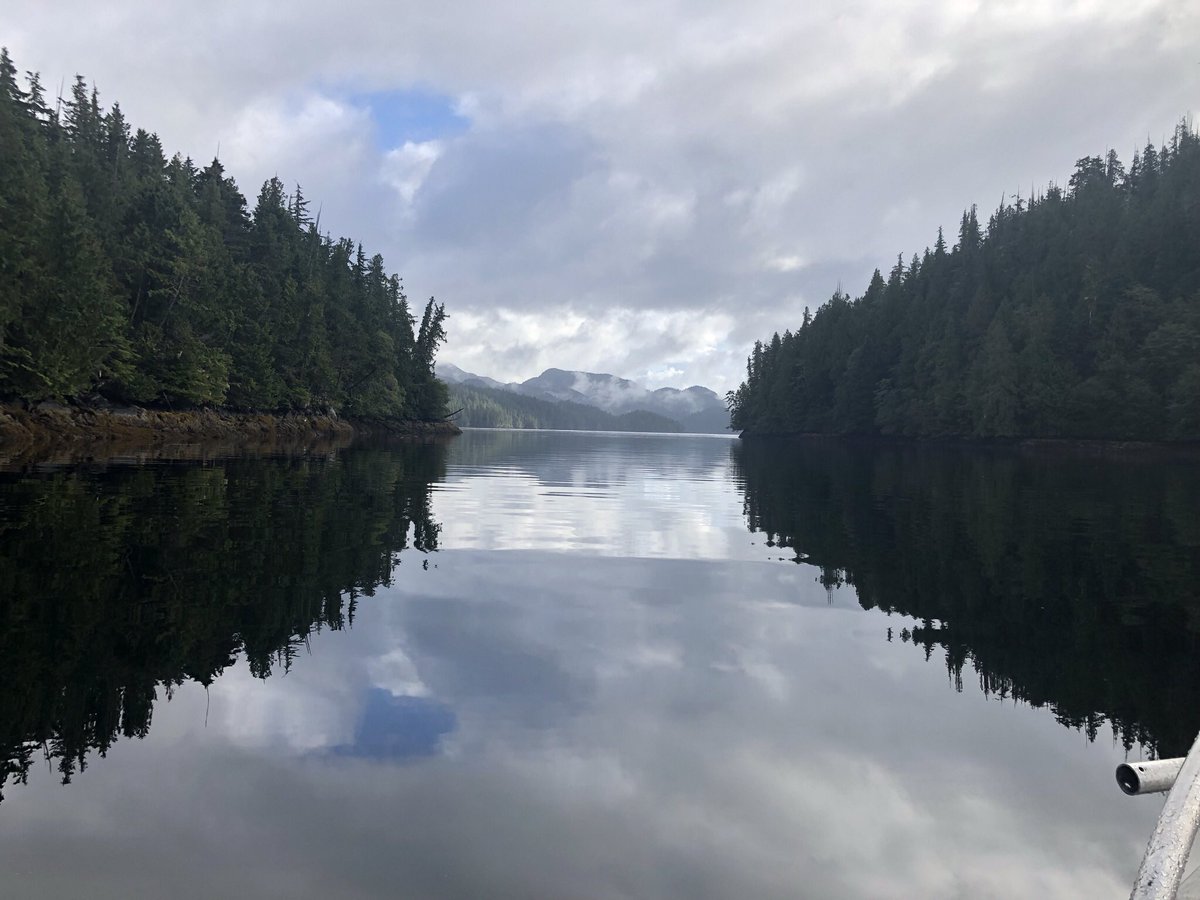 FinnBayLodge's tweet photo. Enjoy your days on the water with coffee, breakfast, snacks, and lunch delivered right to you on the water while you fish! Link in bio to learn more. 🎣☕️🌯 

#sportfishing #riversinlet #britishcolumbia #salmonfishing #halibutfishing #lodge #fishing #adventure https://t.co/azn8xhkSrr