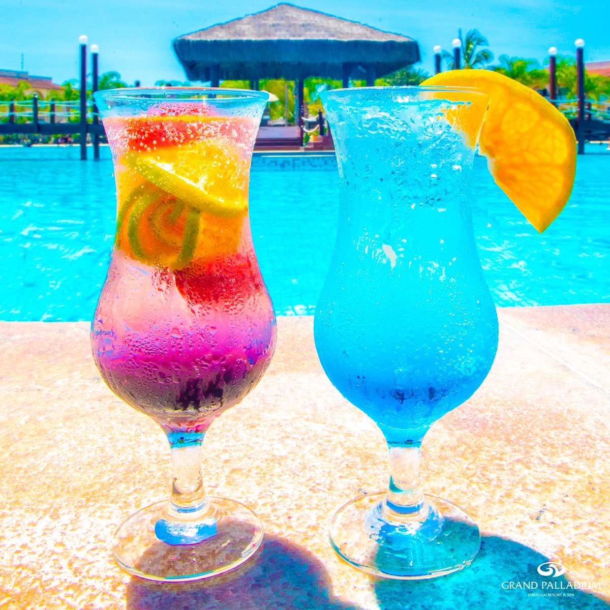 PalladiumBrasil's tweet photo. 🇧🇷 Tudo que você precisa é de um coquetel e uma pausa para as férias no Grand Palladium Imbassaí Resort &amp; Spa 🤩

🇪🇸 Todo lo que necesitas es un cóctel y unas vacaciones en el Grand Palladium Imbassaí Resort &amp; Spa 🤩

#GrandPalladiumImbassai #Ferias #Vacaciones #Brasil #Bahia https://t.co/7DDYi7wzVD