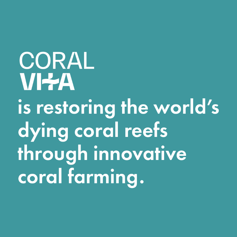 design_freq's tweet photo. Coral Vita protects threatened ecosystems by growing diverse and resilient corals and outplanting them into degraded reefs.