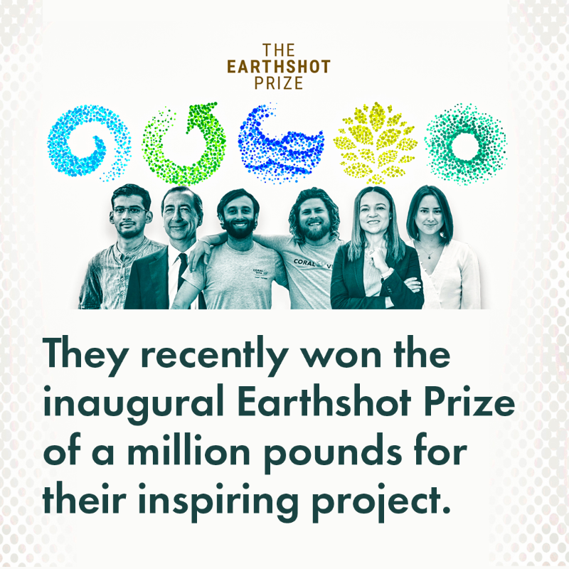 design_freq's tweet photo. Coral Vita protects threatened ecosystems by growing diverse and resilient corals and outplanting them into degraded reefs.