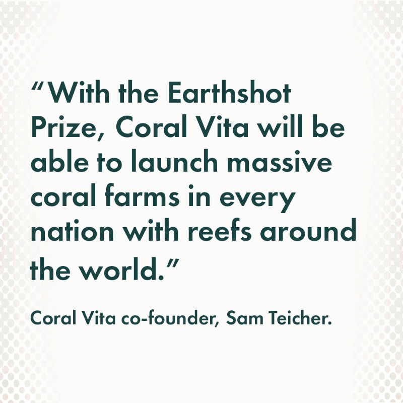 design_freq's tweet photo. Coral Vita protects threatened ecosystems by growing diverse and resilient corals and outplanting them into degraded reefs.