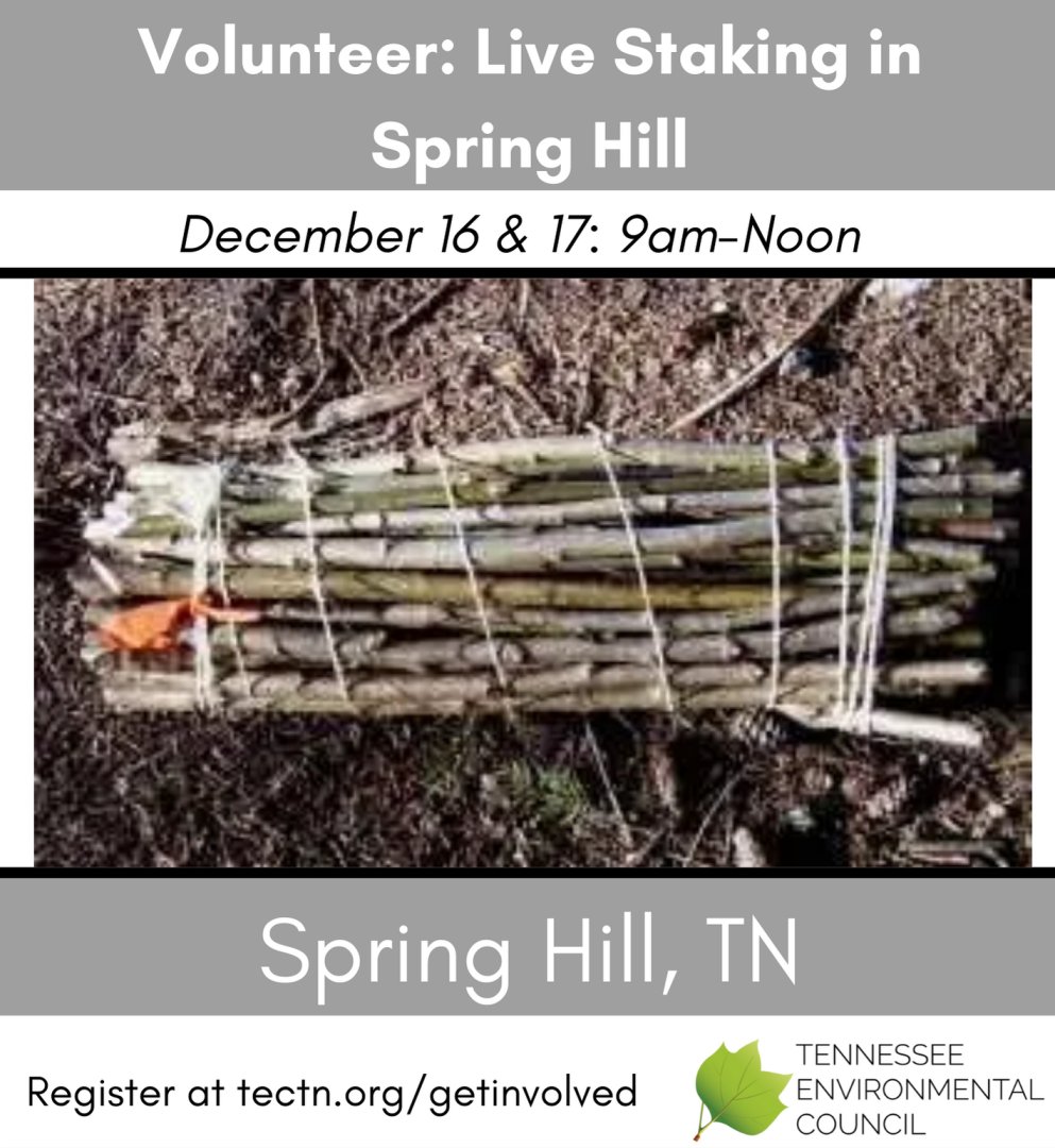 Tennessee Environmental Council (@tnenvcouncil) on Twitter photo 