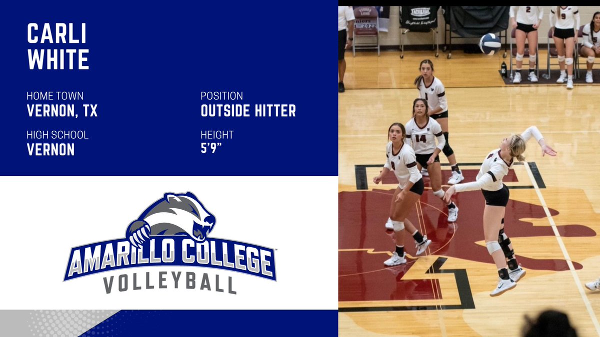 amandab1ack's tweet photo. 🤍💙 🦡 WELCOME TO AMARILLO COLLEGE, CARLI!!!🦡💙🤍 https://t.co/fNUB7SjeOg