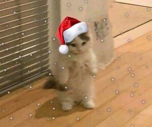 CheetahGos's tweet photo. Hola!!! Perdon por estar desaparecidas, he contestado dms como puedo

A inicios de año les avise que me iba a ser muy difícil hacer envios despues de mayo y así fue :( desde junio no he podido realizar varios, especialmente correos, como he trabajado fin de semana tampoco https://t.co/FRyf8tdCPV