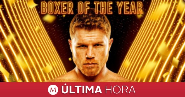 Milenio's tweet photo. #ÚLTIMAHORA | ‘Canelo’ Álvarez es nombrado el mejor boxeador del 2021 por el Consejo Mundial de Boxeo

https://t.co/IqREuE2X4k https://t.co/ALXmJlxVjl