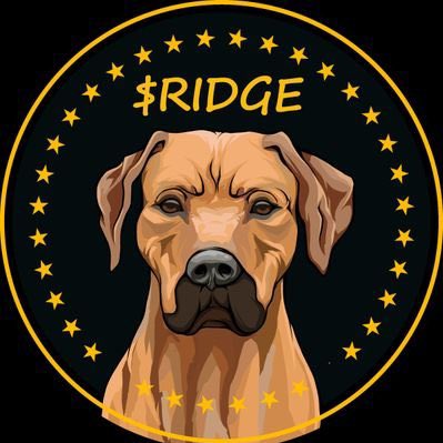 RidgeSpace's tweet photo. @Jennife2403 @SolidBlockGuru $RIDGE #RIDGEINU https://t.co/VJdBqjLPIV