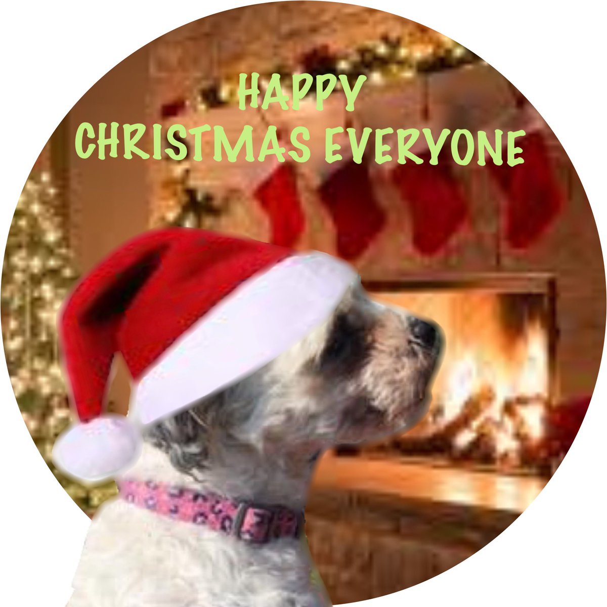 <a href="/poopersbella/">Bella</a> Well I think this is weird looking... but its up to you