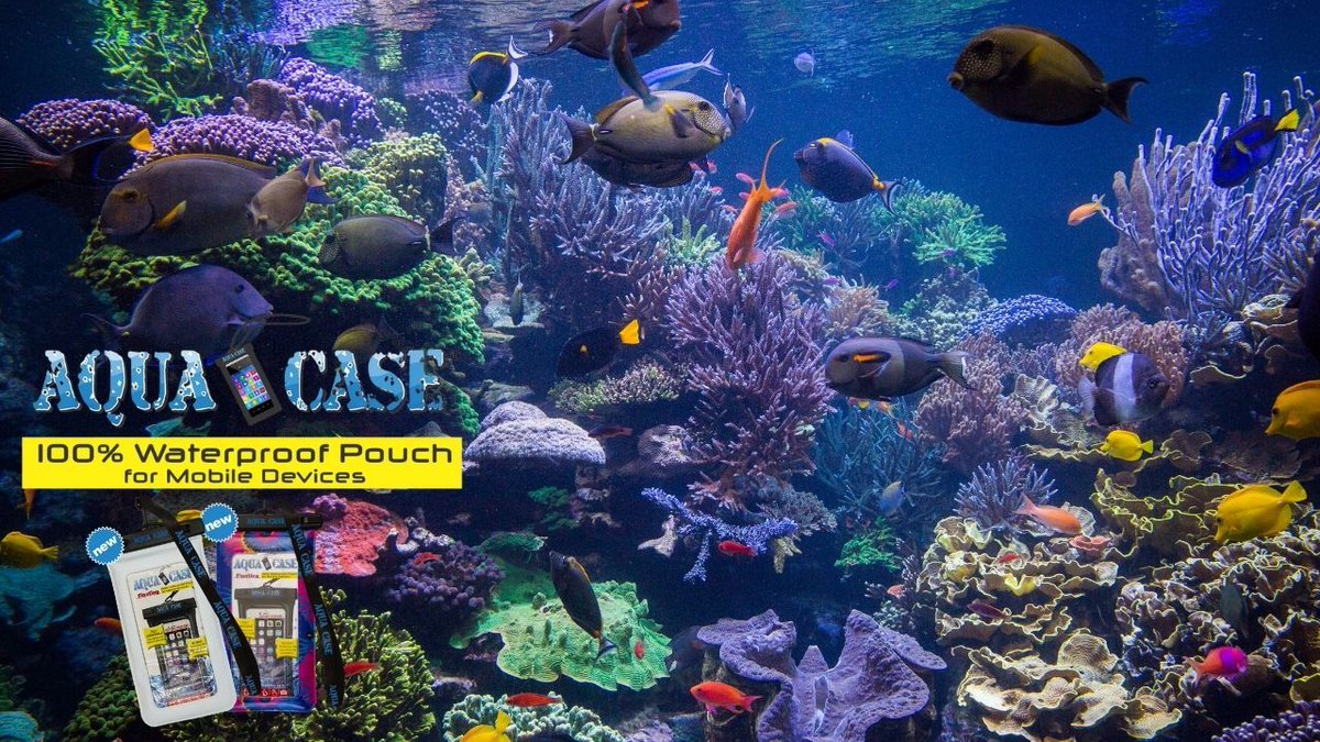 Never lose your cell phone in the water.  The Aqua Case FLOATS !!
aquacase.net 
.
#underwater #underwaterpics #underwaterlife #swimming #waterproofphonecase #floatingphonecase