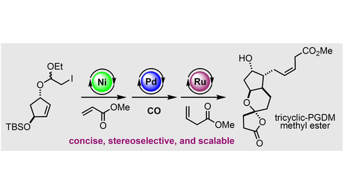 Angewandte Chemie (@angew_chem) on Twitter photo Catalysis-Enabled Concise and Stereoselective #TotalSynthesis of the Tricyclic Prostaglandin D2 Metabolite Methyl Ester (Dai) <a href="/MingjiDai/">Mingji Dai</a> <a href="/CaltechCCE/">Caltech Chemistry & Chemical Engineering</a> onlinelibrary.wiley.com/doi/10.1002/an… Catalysis-Enabled Concise and Stereoselective #TotalSynthesis of the Tricyclic Prostaglandin D2 Metabolite Methyl Ester (Dai) <a href="/MingjiDai/">Mingji Dai</a> <a href="/CaltechCCE/">Caltech Chemistry & Chemical Engineering</a> onlinelibrary.wiley.com/doi/10.1002/an…